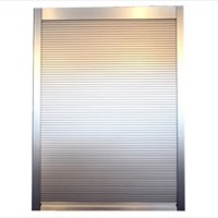 Elegant design mechanical shutters /electric window exterior roller shutter window