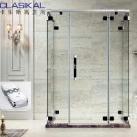 High quality China hot sale stainless steel Glass shower door